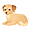 Pets and Pet Products