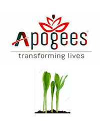 Apogee India Herbal Care Private Limited Business Profile 444208 Clickindia